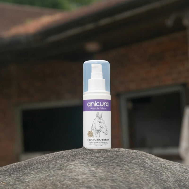 Anicura Horse Healing Gel 100ml – Advanced Care for Cuts, Wounds, Scabs & Skin Irritations – Soothes, Protects & Promotes Recovery – Ideal for Sweet Itch, Sores & Sensitive Skin