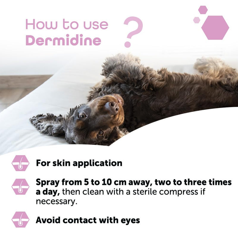 Dermidine antiseptique pour chien et chat - Spray de 60 ml