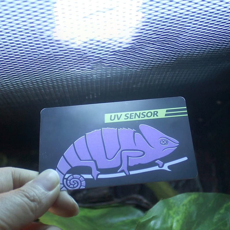 DONGKER UV Test Card, 2/4PCS Reptile Quick Test UVB Sensor, Easy to Carry, Reusable 500 Times for Reptile UV Testing 4PCS - BeesActive Australia