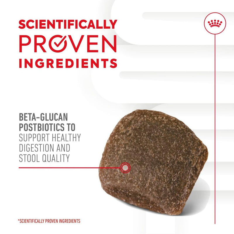 Royal Canin Dog Supplement for Digestion Soft Chews 160g