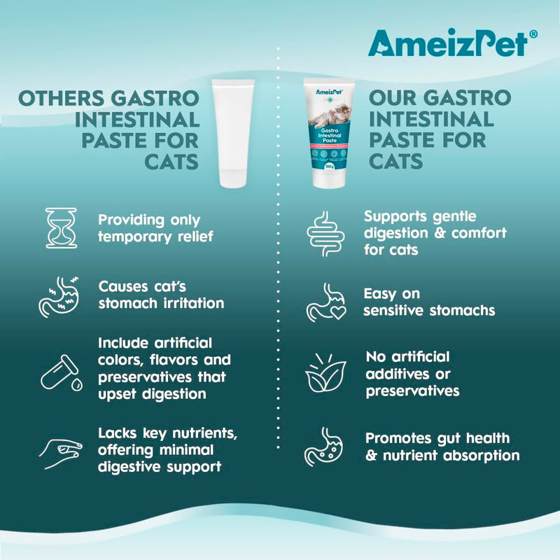 AmeizPet Gastro Intestinal Paste For Cats, Gastro Intestinal Support For Gut Health And Intestinal Flora, Digestive Support Supplement For Cats And Kittens, 3.53 Oz (100g)