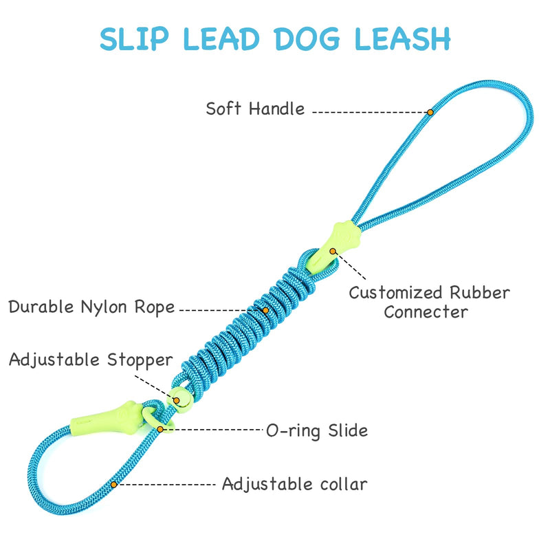 DaFuEn 6 FT Dog Slip Lead Dog Leash Dog Classic Training Leash Lightweight Durable Slip Leads for Dogs No-Pull Slip Leash and Collar Dog Leash for Small Medium Puppies Blue 1.8m - BeesActive Australia