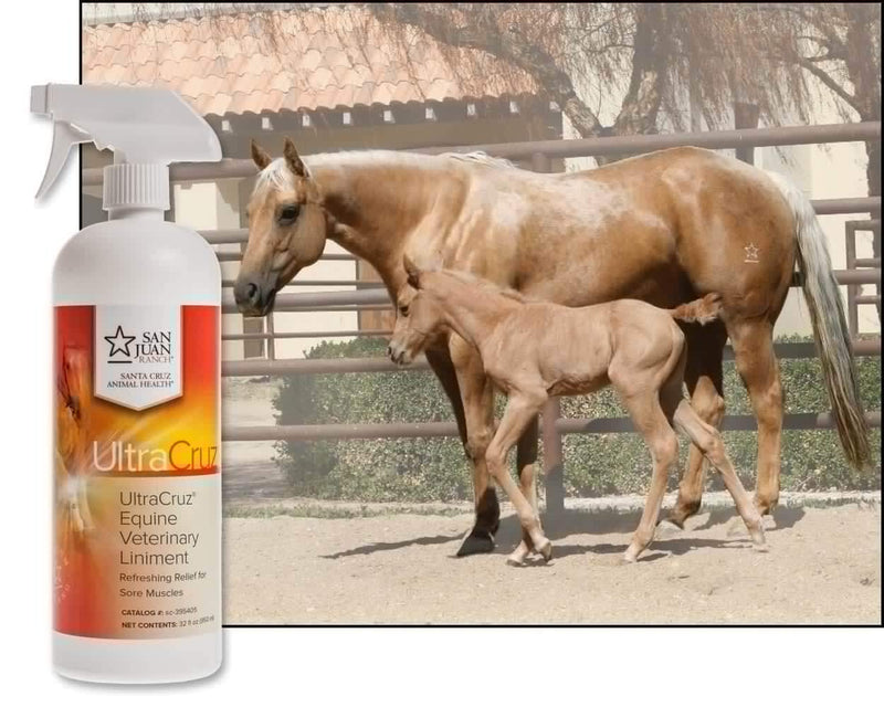 UltraCruz Veterinary Liniment Spray for Horses, 32 oz - BeesActive Australia