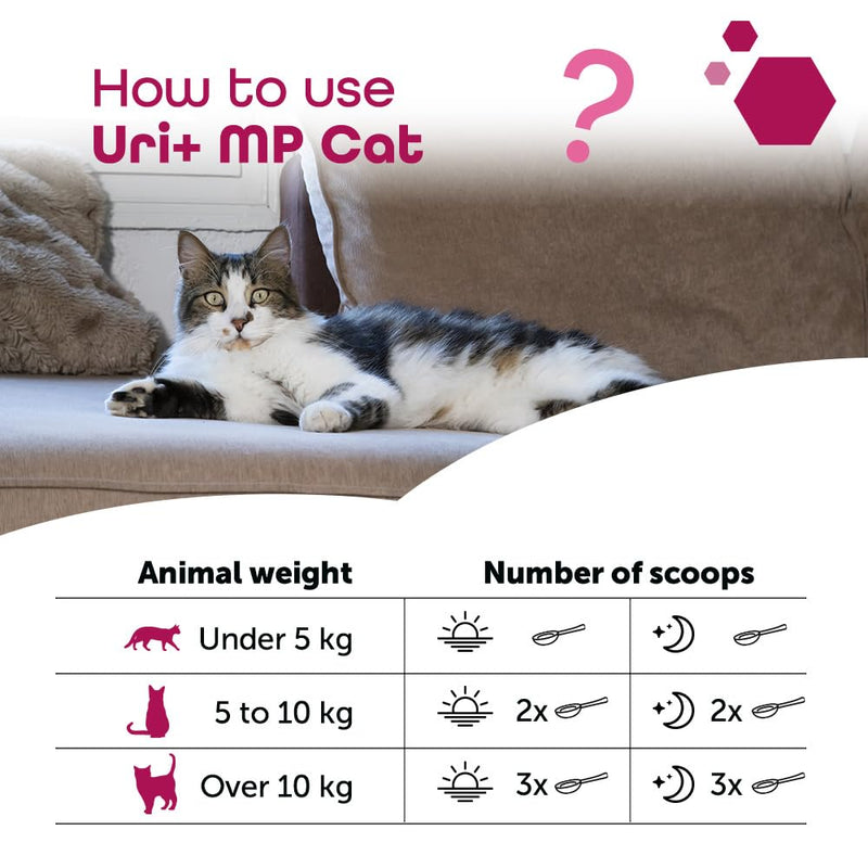 Uri+ MP Cat – Daily Urinary Support with Selected Nutrients – Bladder Supplement - Supports Nutritional Balance & Comfort – Powder with Measuring Spoon