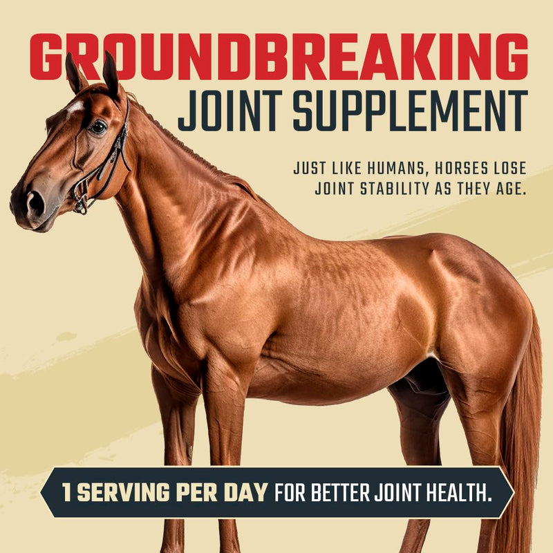 8 in 1 Maximum Strength Equine Joint Supplement - Joint Supplement for Horses - Glucosamine, MSM, Chondroitin, Turmeric, Hyaluronic Acid, Manganese, & Boswelia - 964g (30 Servings) 30 Servings - BeesActive Australia
