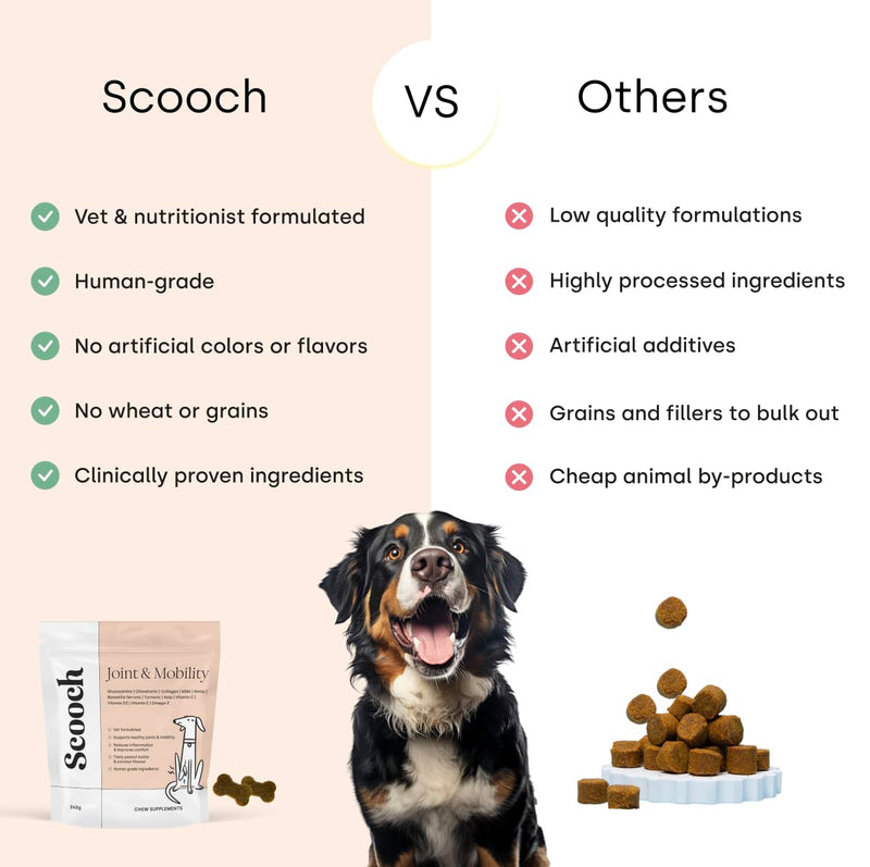 Scooch Joint & Mobility Chews for Dogs with Glucosamine, Chondroitin & MSM | Tasty Chew They Actually Eat, No Fishy Smell | Supports Stiff Hips & Mobility in Senior & Large Breeds | 60 Soft Chews