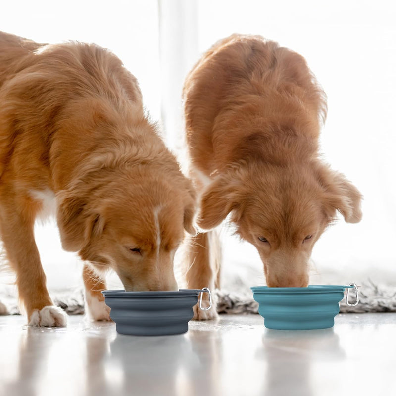 Kytely Collapsible Dog Bowls X-Large (1500ml), 2 Pack Foldable Dog Travel Bowls, Portable Dog Water Food Bowl with Clasp, Pet Feeding Cup Dish for Traveling, Walking, Hiking (Blue+Grey) Lake Blue & Grey - BeesActive Australia