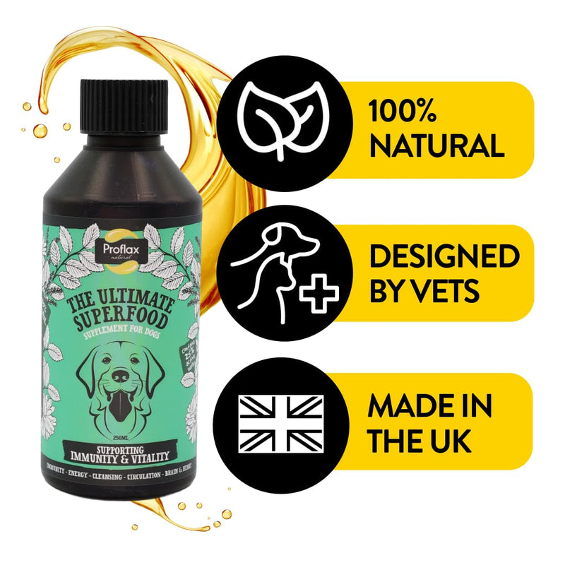 Proflax Immunity & Vitality Immune Support for Dogs – Energy, Recovery & Daily Wellbeing - 500ml 500 ml