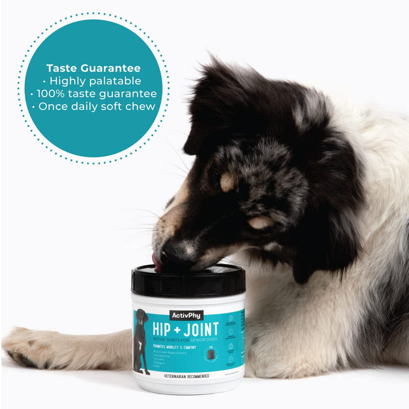 Hip + Joint Supplement with Glucosamine, MSM, Omega 3s, and Turmeric, Normal Inflammatory Response, Antioxidants, Made in USA, For Dogs , 75 ct - BeesActive Australia