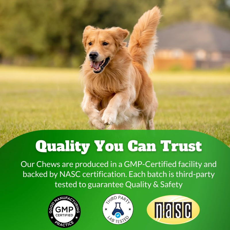 Dog Joint Supplement Chews with Glucosamine & MSM & Omega 3–Joint Support for Senior & Large Breed Dogs, Alternative for Longevity & Healthy Aging, Mobility Treatment & Flexibility with CoQ10-120 Ct