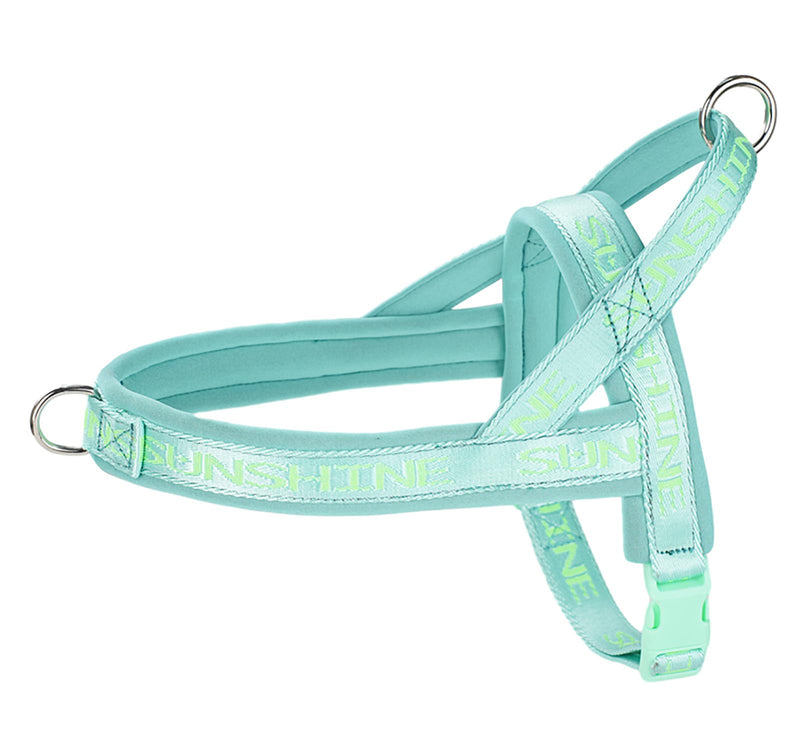No Pull Escape-Proof Dog Vest Harness No Choke Soft Padded Dog Strap Harness Easy for Dog Walking Training Harness with Comfortable Handle S(Neck:13.8",chest:18.1"-23.2") Green - BeesActive Australia