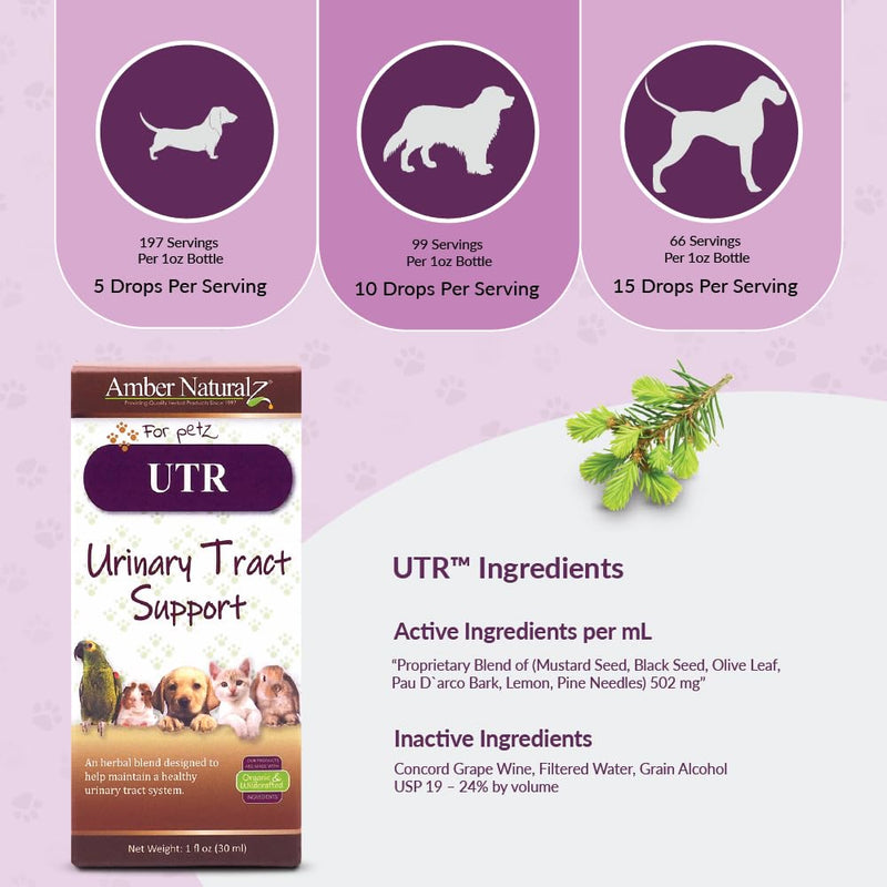 Amber NaturalZ UTR Urinary Tract Herbal Supplement for Dogs, Cats, Birds, Guinea Pigs, and Rabbits | Pet Herbal Supplement for Bladder Support | 1 Fluid Ounce Glass Bottle | Manufactured in The USA 1 Fl Oz (Pack of 1)