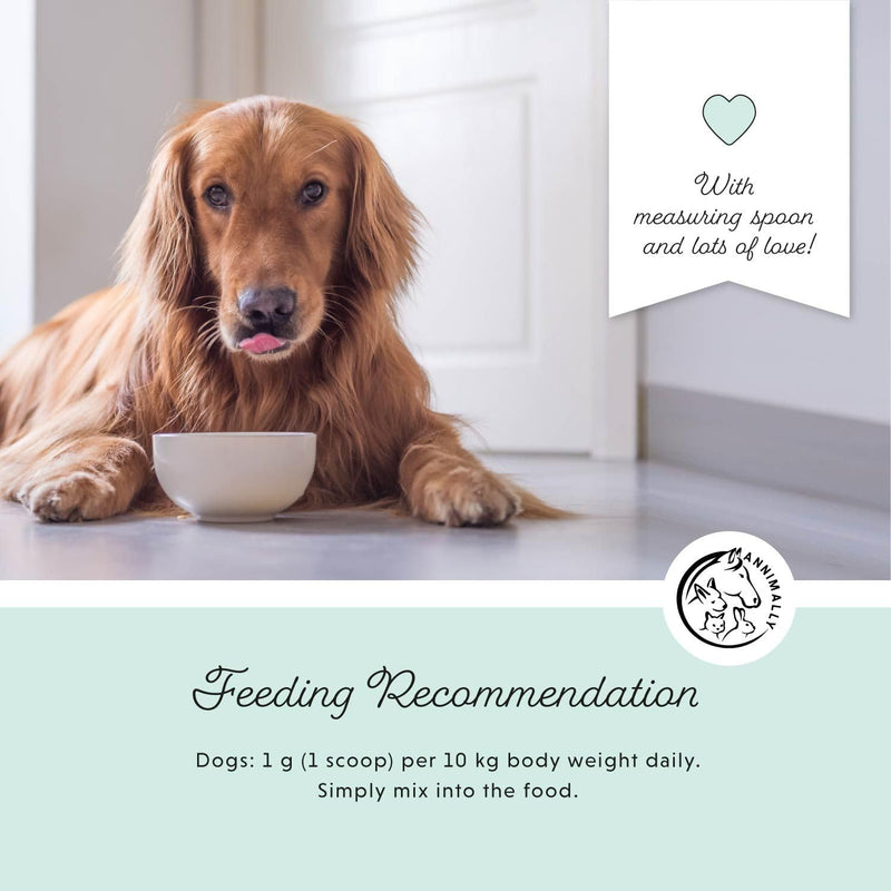 Annimally Oral Vital for Dogs 100 g - Daily Dental Powder with Eggshell Powder, Parsley, Seaweed, Peppermint & Spirulina, Made in Germany 100 g (Pack of 1)