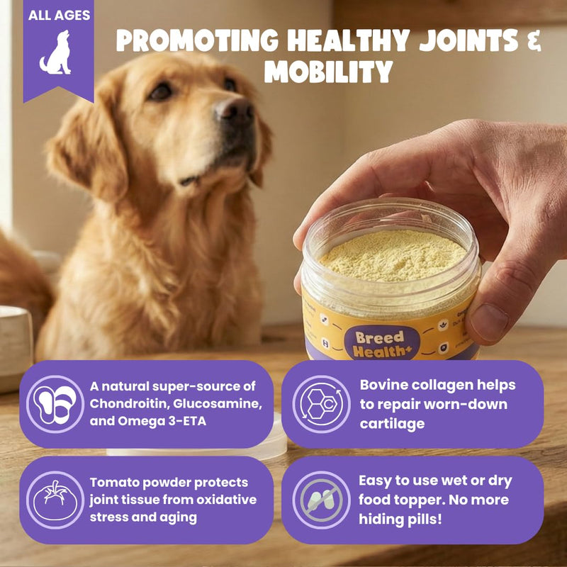 YEARS Breed Health+ Vet Certified Prebiotic Joint Support for Dogs Nutritional Supplement Powder for Mobility | 40g | Fussy Dog Approved for Sensitive Stomachs