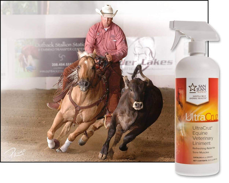 UltraCruz Veterinary Liniment Spray for Horses, 32 oz - BeesActive Australia