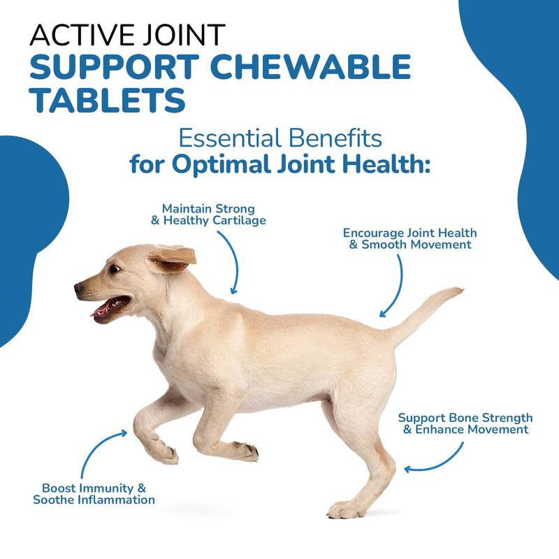 FLEXIPAWS – Joint Supplement for Adult Dogs (120 Chewable Tablets) | Glucosamine, Chondroitin & Green Lipped Mussel for Mobility, hip & joint care for dogs | Liver Flavour