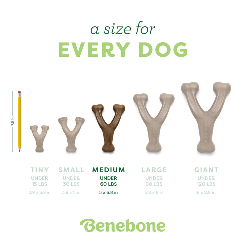 Benebone Wishbone Durable Dog Chew Toy for Aggressive Chewers, Real Bacon, Made in USA, Medium - BeesActive Australia