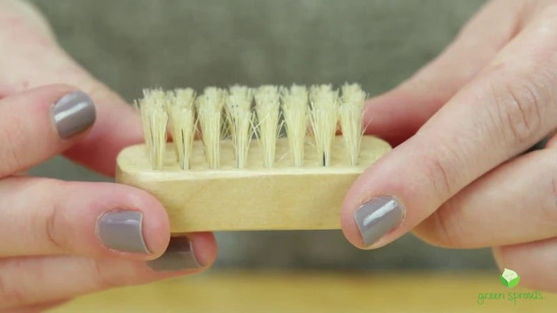 green sprouts Nail Brush
