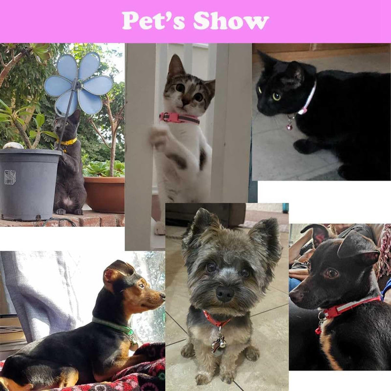Puppy Collar with Bell, 2-Pack Basic & Reflective Cat Collar with Bells for XXS Xs Small Pet Dogs Boy Tiny Kitten Male Animal, Neck 7-12 inch (Pink) Pink