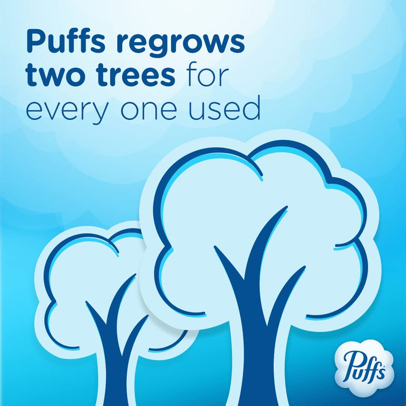 Puffs Ultra Soft Facial Tissues, 1 Family Size Box, 124 Facial Tissues Per Box 124 Count (Pack of 1) - BeesActive Australia