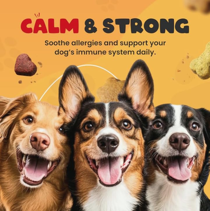 Allergy & Itch Support - NASC Member | Colostrum, Turmeric & Quercetin with Salmon Oil Omega-3 - Immune & Skin Health - Peanut Butter, 90 Count Pack of 1 (90 ct)