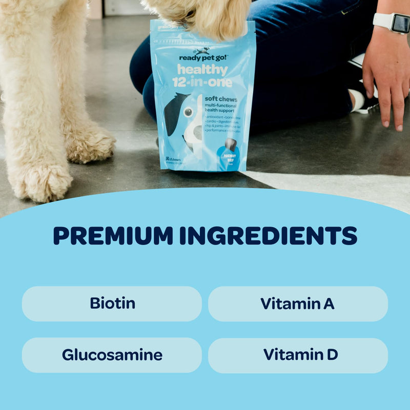 12-in-1 Complete Multivitamin for Dogs | Dog Multivitamin Chewable with Glucosamine Chondroitin & Digestive Probiotics for Dogs of All Ages and Sizes | NASC Certified & Made in The USA | 90 Chews 90 Count (Pack of 1) - PawsPlanet Australia