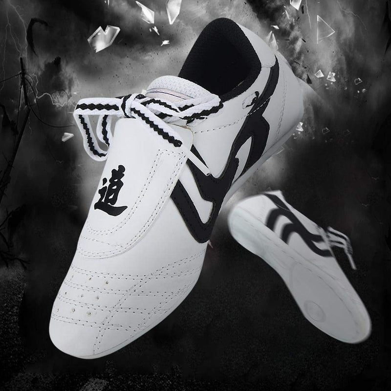 Dilwe Taekwondo Shoes, Kung Fu Taekwondo Indoor Mat Training Shoes 10 Sizes Soft Rubber Soles Martial Arts Sneaker for Women Men Kong Fu Taichi (36)