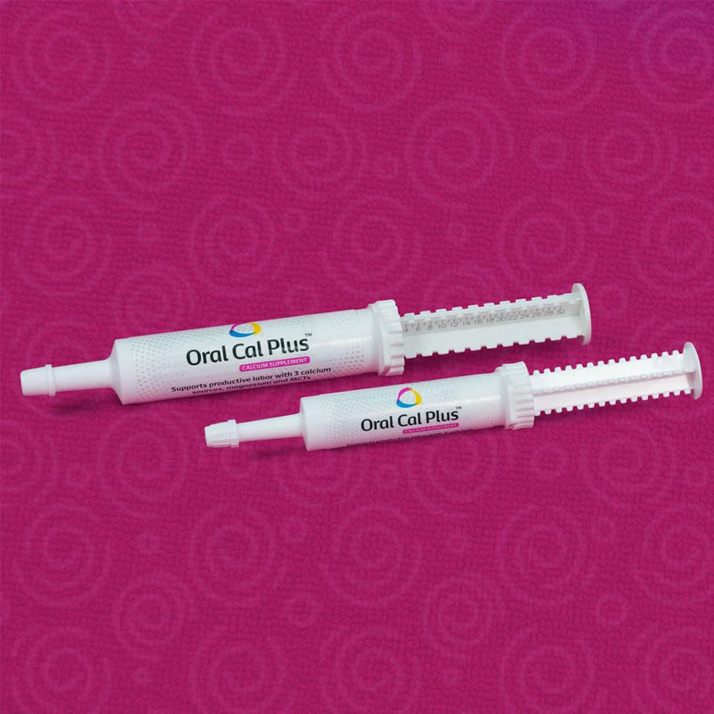 Revival Animal Health Breeder's Edge Oral Cal Plus- Fast-Absorbing Oral Calcium Supplement - 15 ml Paste - PawsPlanet Australia