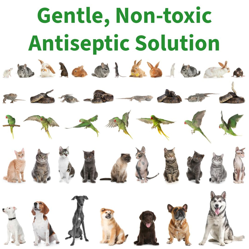 One Step Antiseptic Pet Wound & Skin Care 50ml Spray Bottle, For Dogs Cats Rodents Birds & Reptiles