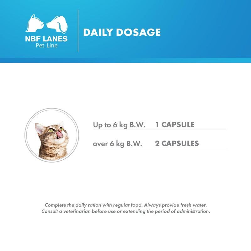 Artikrill Gatto - Cat Against Inflammation Articular 30 Pearls