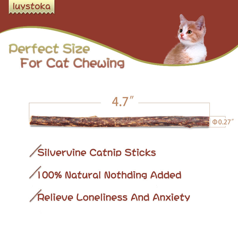 Silvervine for Cats, Cat Chew Stick, Catnip Toys Matatabi Wooden Sticks (25pcs) 25pcs - BeesActive Australia
