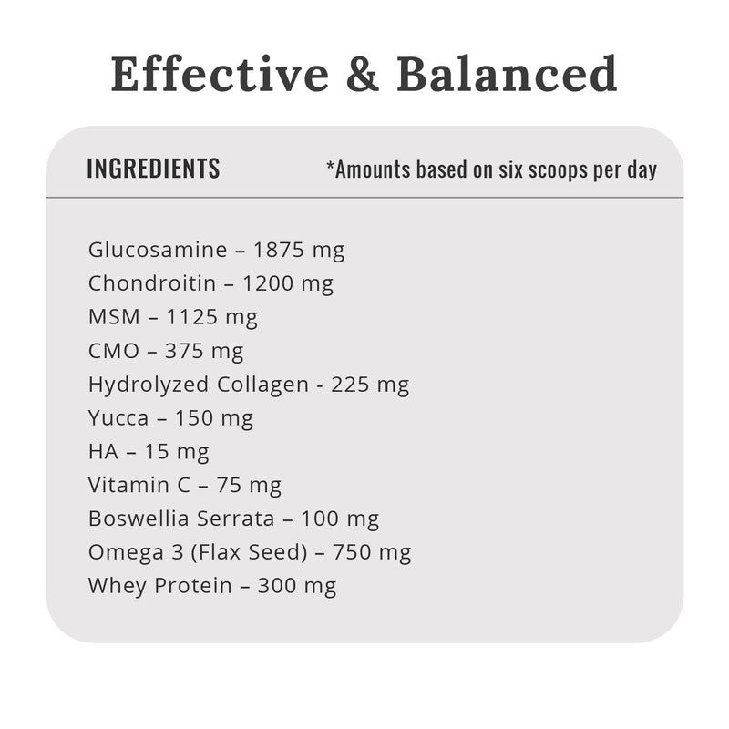 Mojo Joint Supplement for Dogs and Cats, Feline + Canine Food Grade Hip & Joint Supplement with Glucosamine and Chondroitin, Dog & Cat Mobility Supplement (Large, 16 oz) Large - PawsPlanet Australia