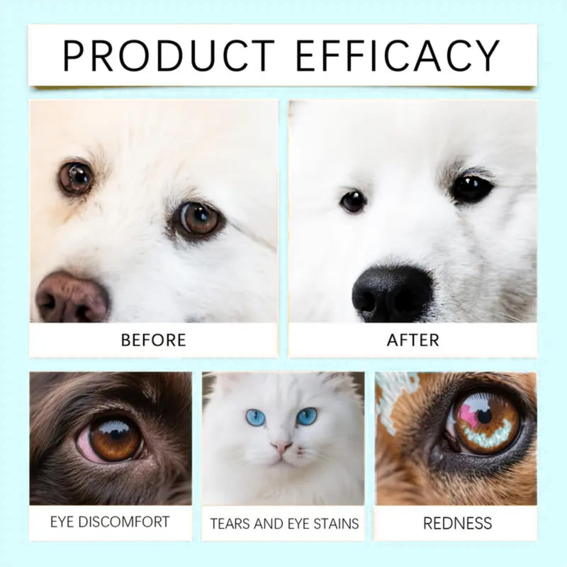 AINxtolm Cat and Dog Eye Gel,Pet Eye Gel for Dogs and Cats,Eye Care for Dogs and Cats,Dog Eye Cleaner,Soothes Redness Gel,Eye Gel for Dry Eyes,Dog Eye Drops for Gunky Eyes,Dry Eye Drops for Dogs,5g