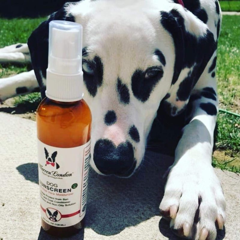 Warren London Dog Sunscreen Spray Protection with Aloe Vera I Dog Skin Soother I Puppy Sunblock I Made in USA- 4oz Two Pack 4oz Bottle (Two Pack) - PawsPlanet Australia
