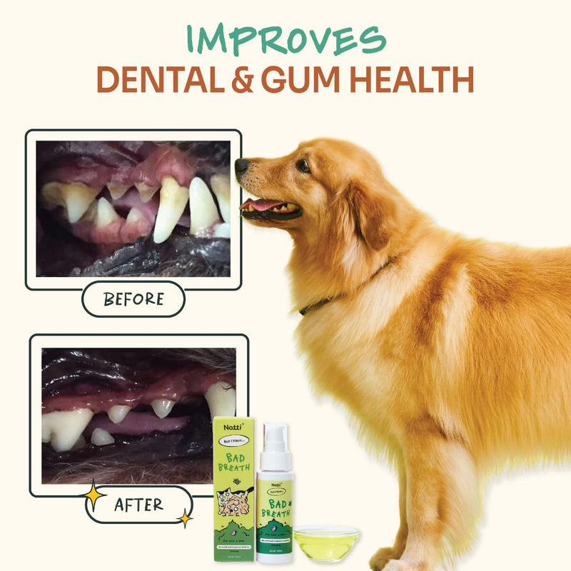 Notti Dental Fresh Advanced Plaque and Tartar Spray - Oral Care Spray - Water Additive - Pet Dental Care - No Toothpaste No Toothbrush - Eliminate Bad Dog and Cat Bad Breath - Freshen Breath