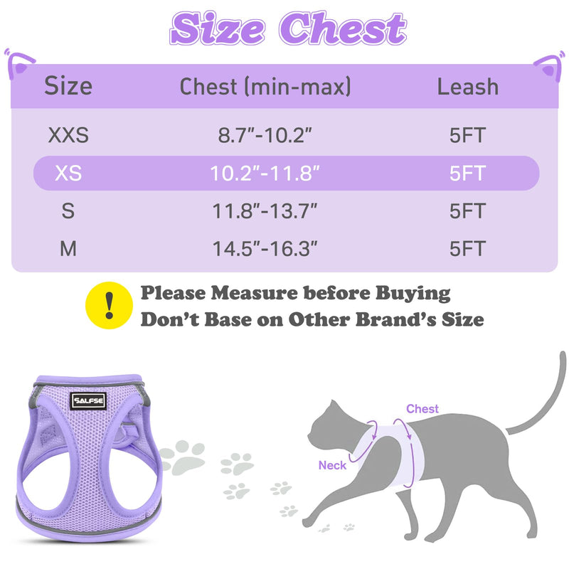 Cat Harness and Leash for Walking Escape Proof, Adjustable Kitten Vest Harness Reflective Soft Mesh Puppy Harness for Outdoor, Comfort Fit, Easy to Control (Purple, XS) Purple - BeesActive Australia