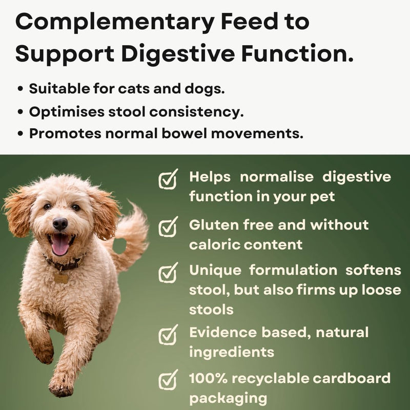 Digestion Complementary Feed for Cats and Dogs | 1 x 100g Sachet | Gluten Free | Helps Normalise Digestive Function