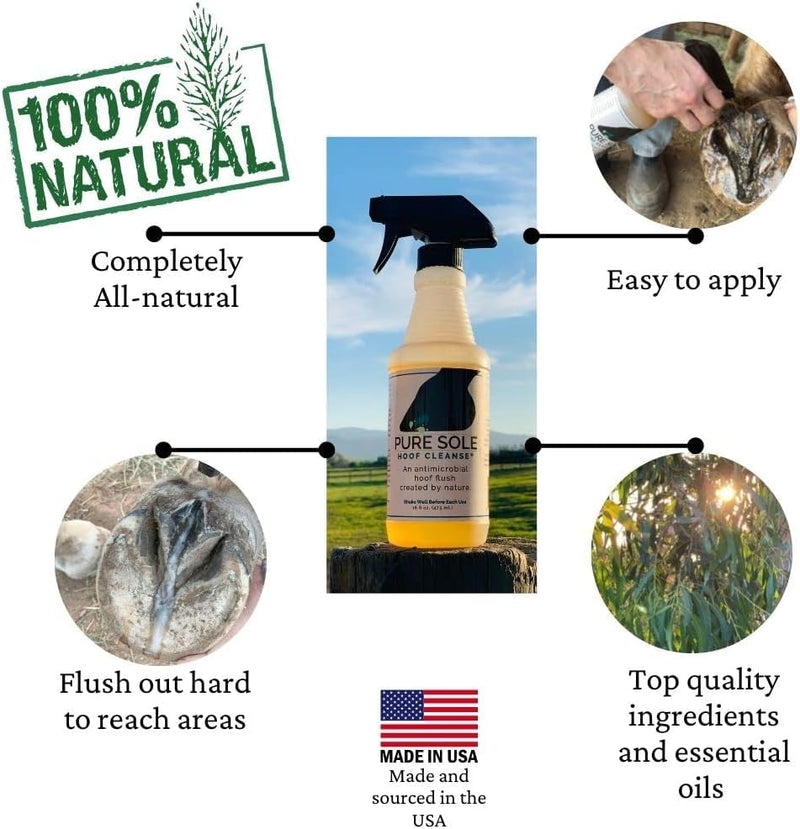 Horse Hoof Cleaner, Thrush and White Line Treatment for Horses, Hoof Cleanse, All Natural Horse Hoof Care Products to Maintain A Healthy Hoof 32oz refill - BeesActive Australia
