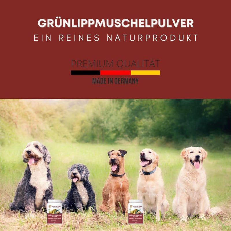 500g Premium Green Lipped Mussel Powder Dog - Made in Germany - Green Lipped Mussel for Dogs Cats Horses 100% pure - Green Lipped Mussel Extract Dogs Perna Canaliculus - Barf Powder Dog Cat Horse - BeesActive Australia