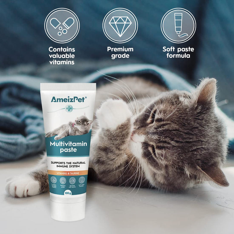 AmeizPet Cat Vitamins Paste, Healthy Snack for Pet Fur and Health, Cat Multivitamins, Lickable and Tasty Kitten Multivitamin Paste, 100 g (3.5 Oz)
