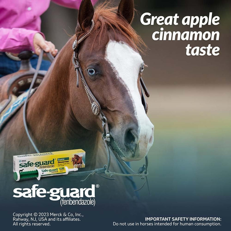 Merck Animal Health Safe Guard Equine Dewormer Paste - BeesActive Australia