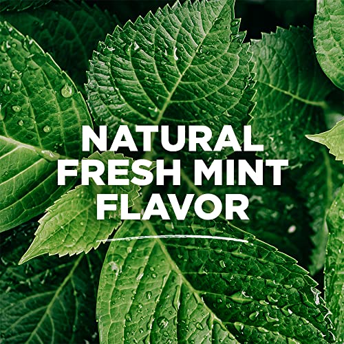 Tom's of Maine Natural Toothpaste and Mouthwash Variety Pack: Whole Care Natural Toothpaste with Fluoride, Peppermint, 4 oz. 3-Pack & Whole Care Natural Fluoride Mouthwash, Fresh Mint, 16 oz. 3-Pack