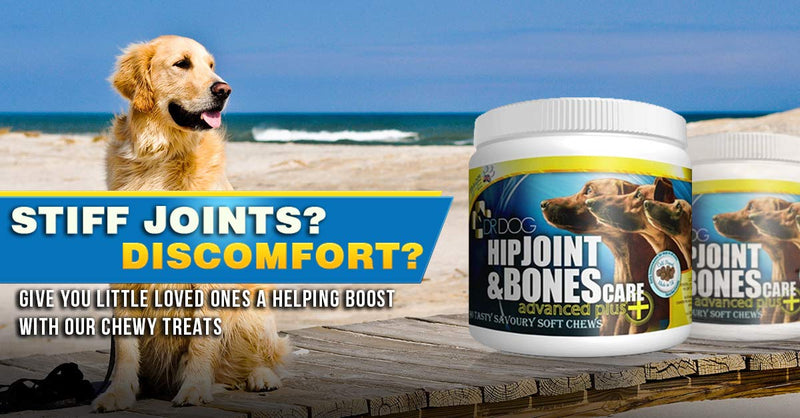 DR DOG Joint Supplement - 90 Cold Pressed Soft Chew Dogs Joint Supplements - Hip & Joint Care for Dogs – Bacon Flavoured Dog Joint Care Chews – Chondroitin - Glucosamine for Dogs –Vet Grade-Made in UK