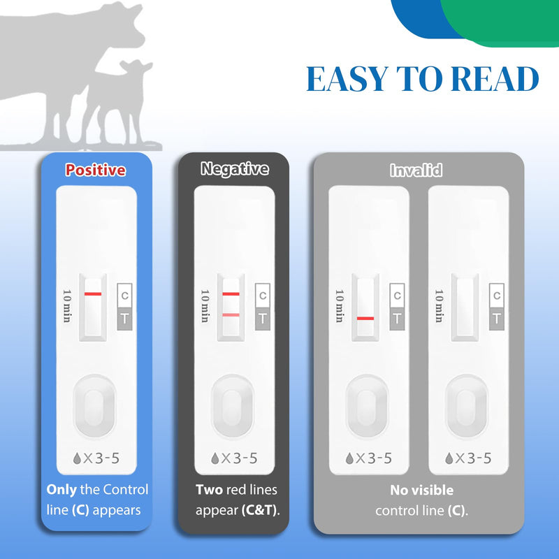 2 Pack Cow Pregnancy Test Kit for Home & Small Farms: Painless Urine Test, Fast 5-10 Min Results, Easy to Use, Safe & Accurate Early Detection, Reliable Solutions for Bovine Pregnancy Detection White - BeesActive Australia
