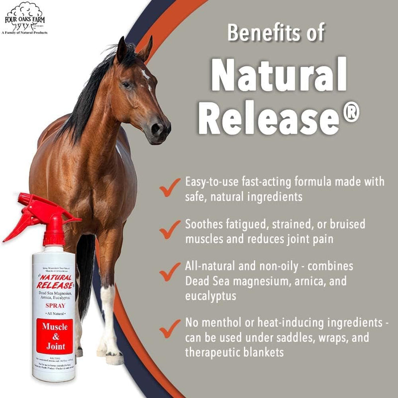 Natural Release Muscle Spray Treatment - Horse Liniment for Sore Muscles, Joint Pain, Tendon & Inflammation Relief - Easy to Use, Fast Acting, Alcohol & Menthol Free (16 oz) 16 oz. - BeesActive Australia