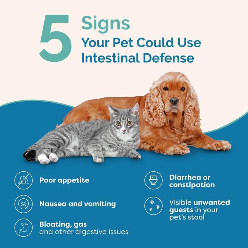 PranaPets Intestinal Defense Supplement for Dogs & Cats | Naturally Helps Digestive Issues in Pets | Herbal Formula 1 Pack - PawsPlanet Australia