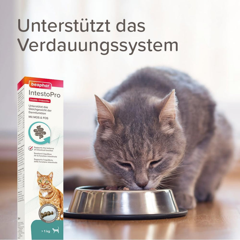 BEAPHAR - IntestoPro Paste for Cats - With Zeolite - With MOS & FOS - Supports the Balance of Intestinal Function - 20 ml - BeesActive Australia