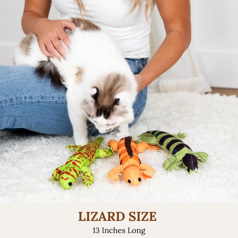 Cat Toys Catnip Toys for cats Cat Nip for Cats catnip toys for indoor cats Lizard Cat Toy Snake Cat Toy for Cats Interactive Cat Toy Cat Chew Toy Cat Chew Toys for indoor cats Kitty cat nip toys cat Bundle 10 - BeesActive Australia