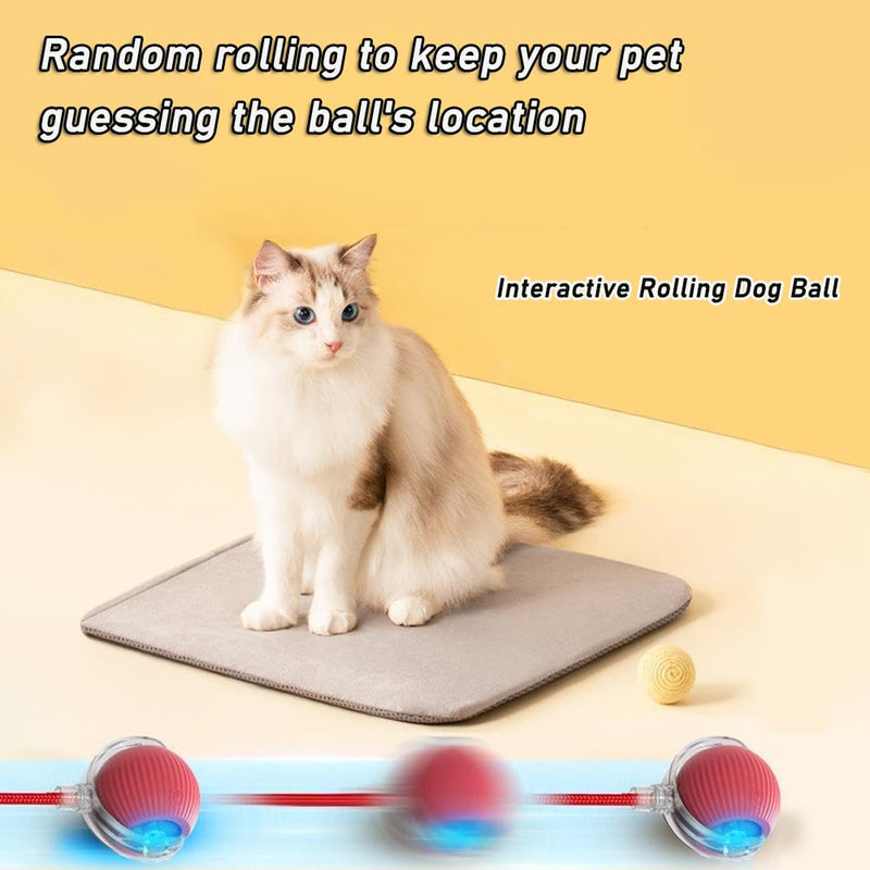 Interactive Rolling Dog Ball,Interactive Rolling Ball Dog Toy,Interactive Rolling Ball Dog Toy,Electric Dog Ball Toy,Electric Dog Ball,360° Smart Automatic Rolling Pet Ball(Red) - BeesActive Australia