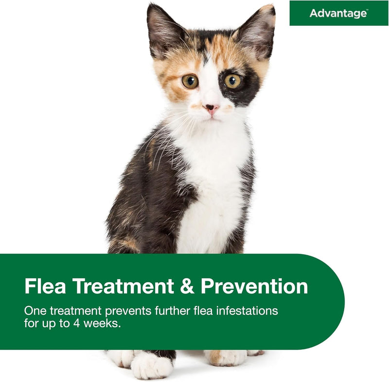 Bundle of Advantage Topical Cat Flea Treatment and Prevention for Small Cats 2-9 lbs. + Advantage Household Spot & Crevice Spray | Kills Fleas & Ticks & Bedbugs | 24 oz. Small Cat + Household Spray